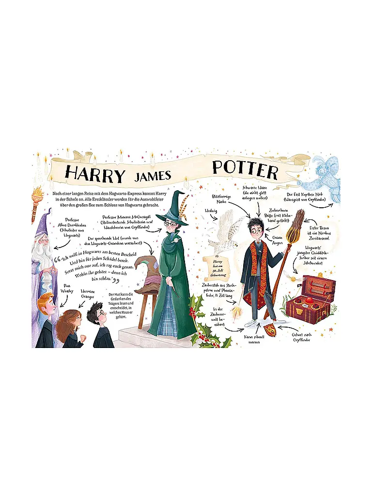 CARLSEN VERLAG | Livre - Guides Potter : Harry Potter | Multicolore