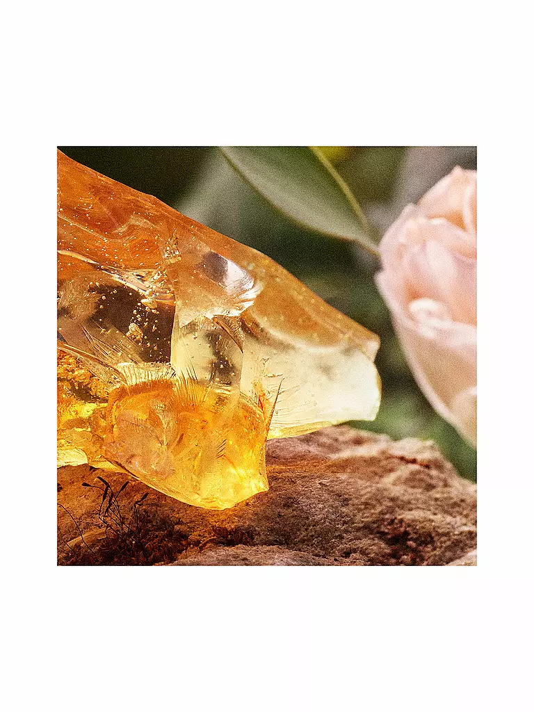 CHLOE | Chloé Eau de Parfum Spray Recharge 150ml | 