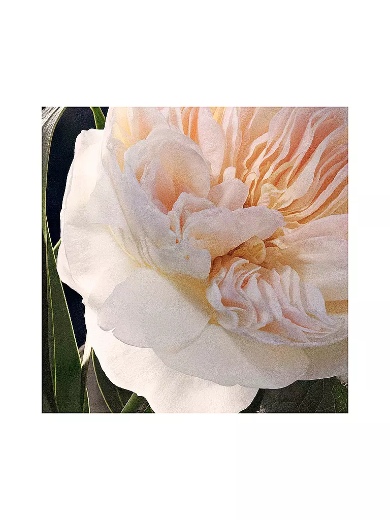 CHLOE | Chloé Eau de Parfum Spray Recharge 150ml | 