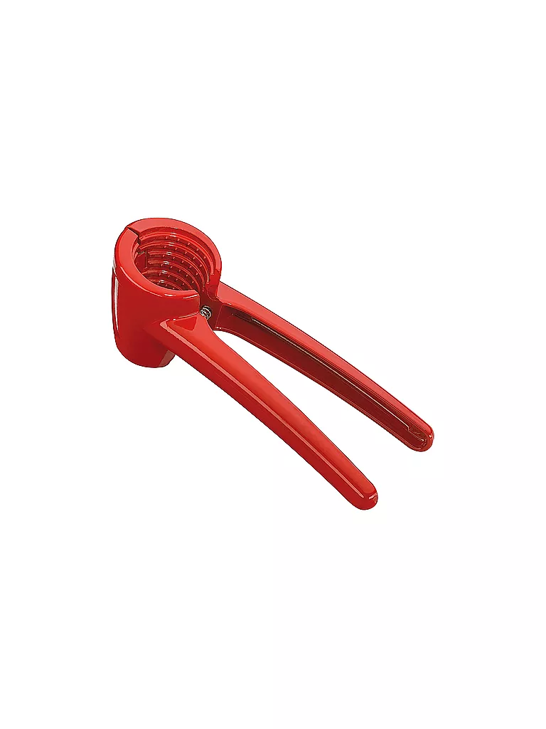 CILIO | Casse-noisette KNACKI | bunt