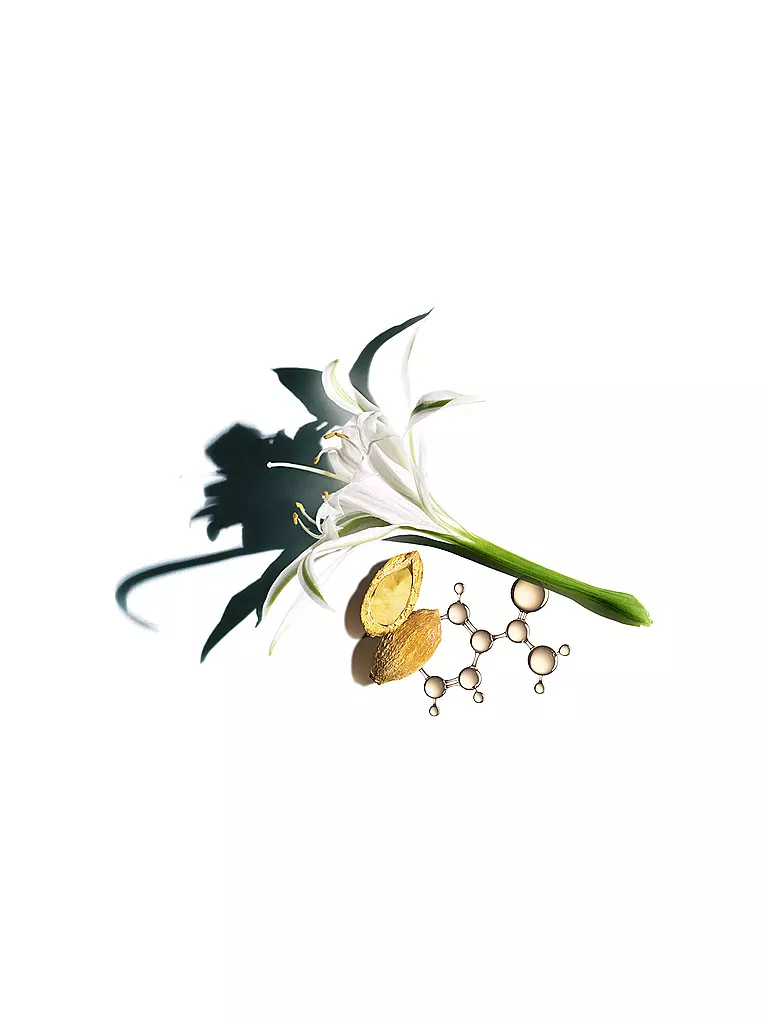 CLARINS | Gesichtscreme - Nutri-Lumière SPF 15 Toutes Peaux 50ml |