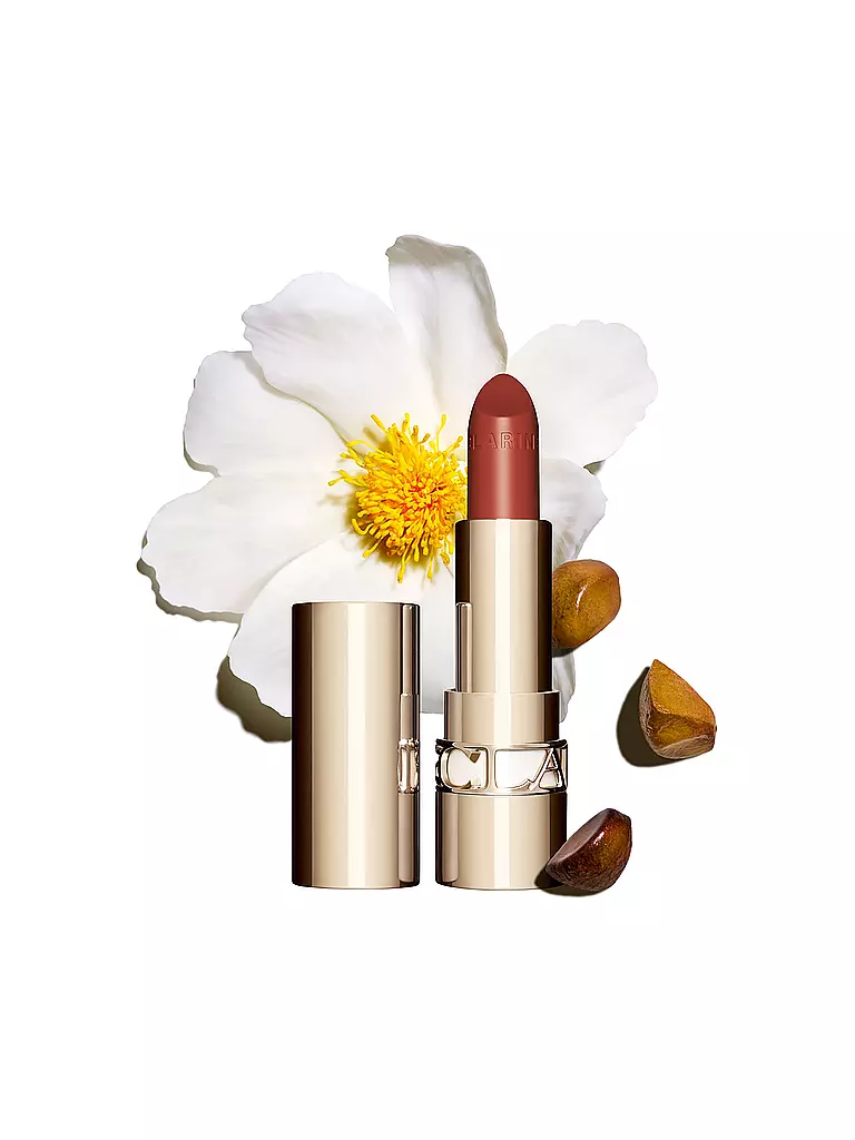 CLARINS | Rouge à lèvres - Recharge Joli Rouge (737 Spicy Cinnamon) | dunkelrot