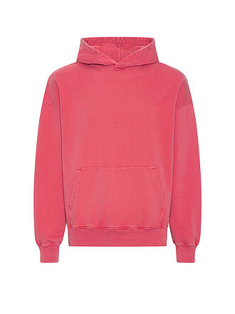 COLORFUL STANDARD | Sweat à capuche - Hoodie