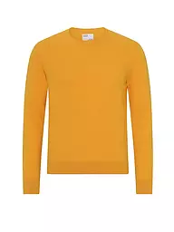 COLORFUL STANDARD | Pull | Jaune