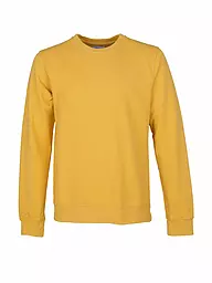 COLORFUL STANDARD | Sweater  | Jaune