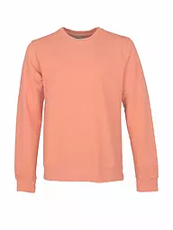 COLORFUL STANDARD | Sweater  | Corail