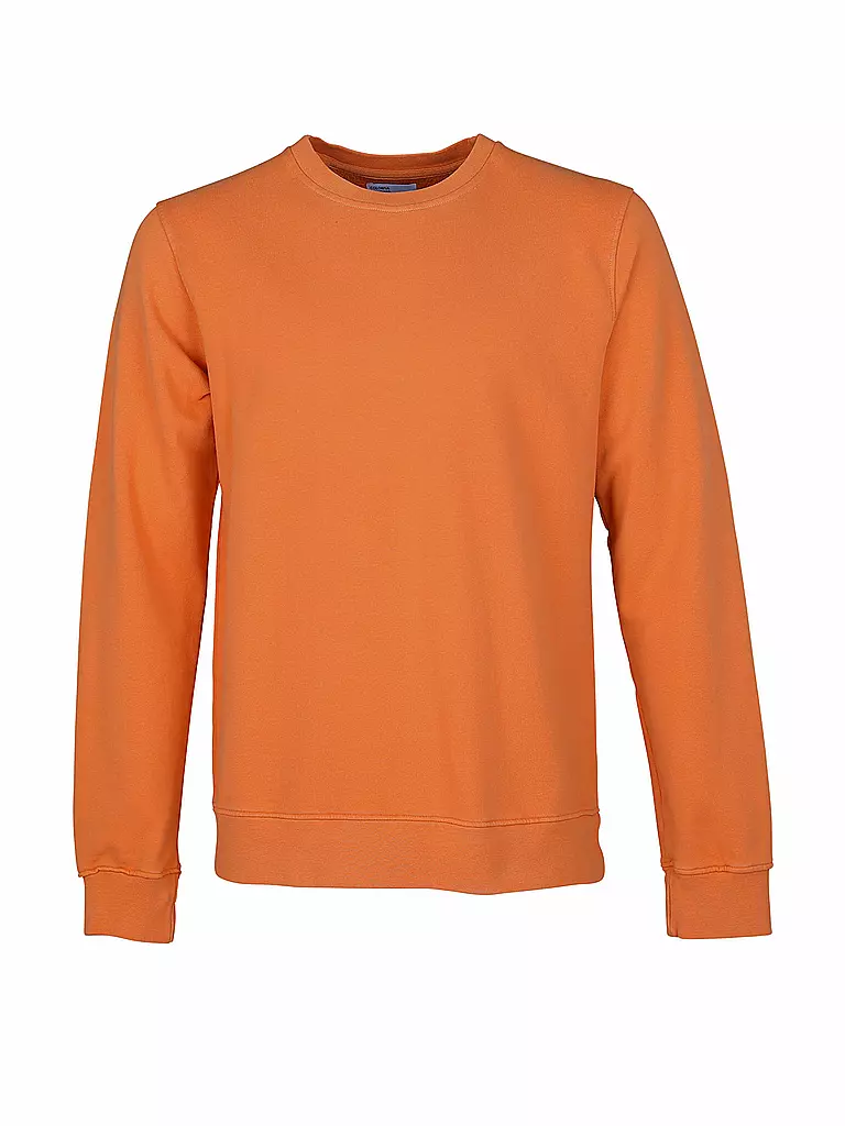 COLORFUL STANDARD | Sweater  | Orange
