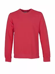 COLORFUL STANDARD | Sweater  | Rouge