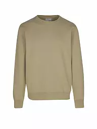 COLORFUL STANDARD | Sweater  | Beige