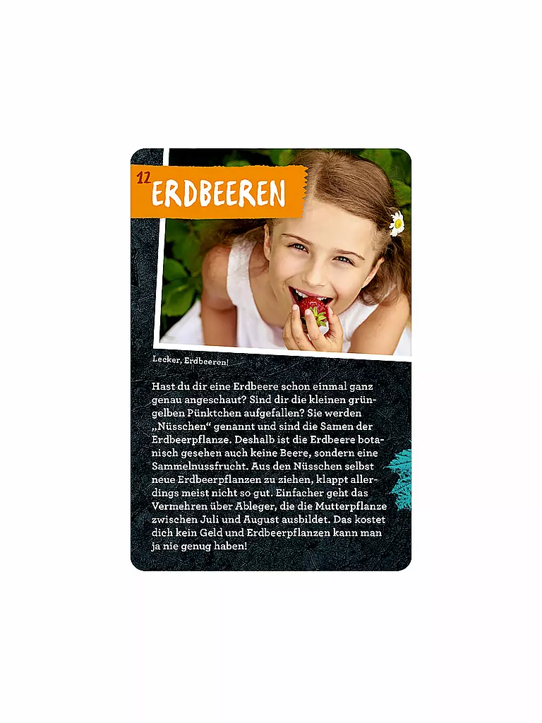 COPPENRATH VERLAG | Livre - 50 projets de jardin, Stefanie Zysk | Aucune couleur