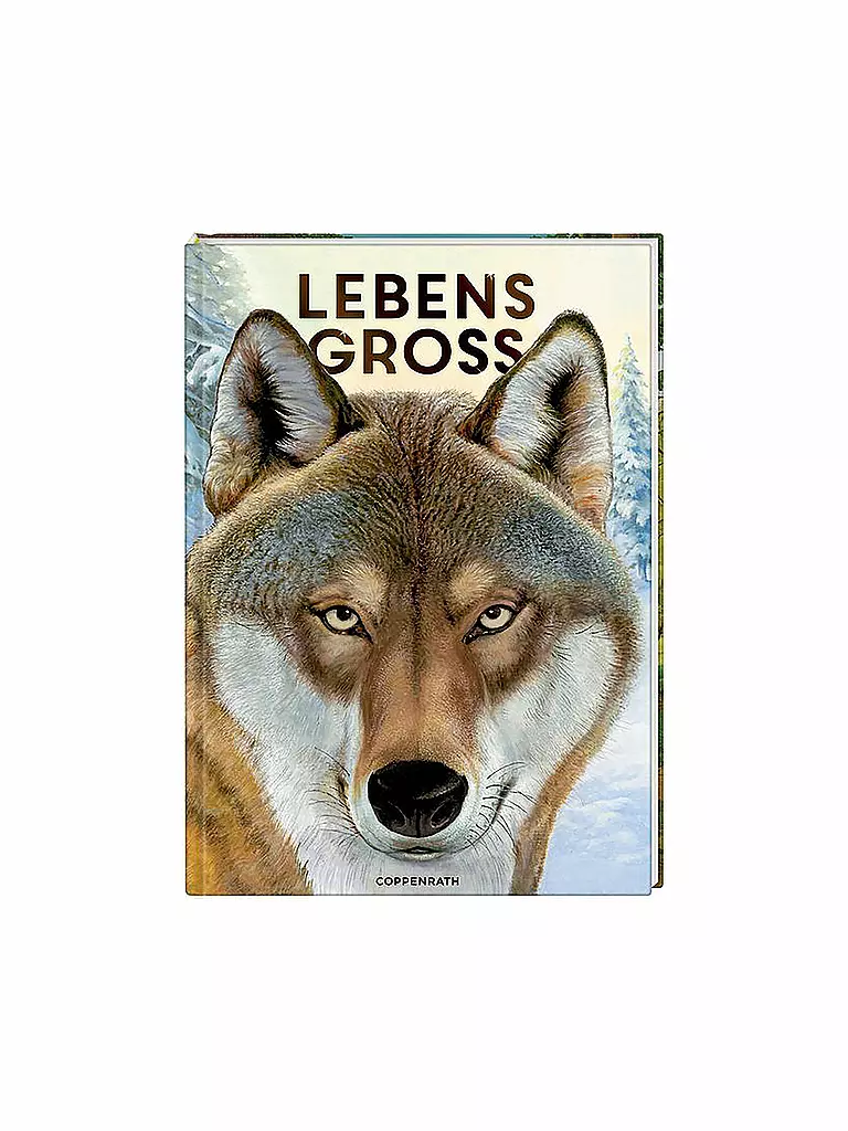 COPPENRATH VERLAG | Livre - Grandeur nature - Animaux de la forêt | Aucune couleur