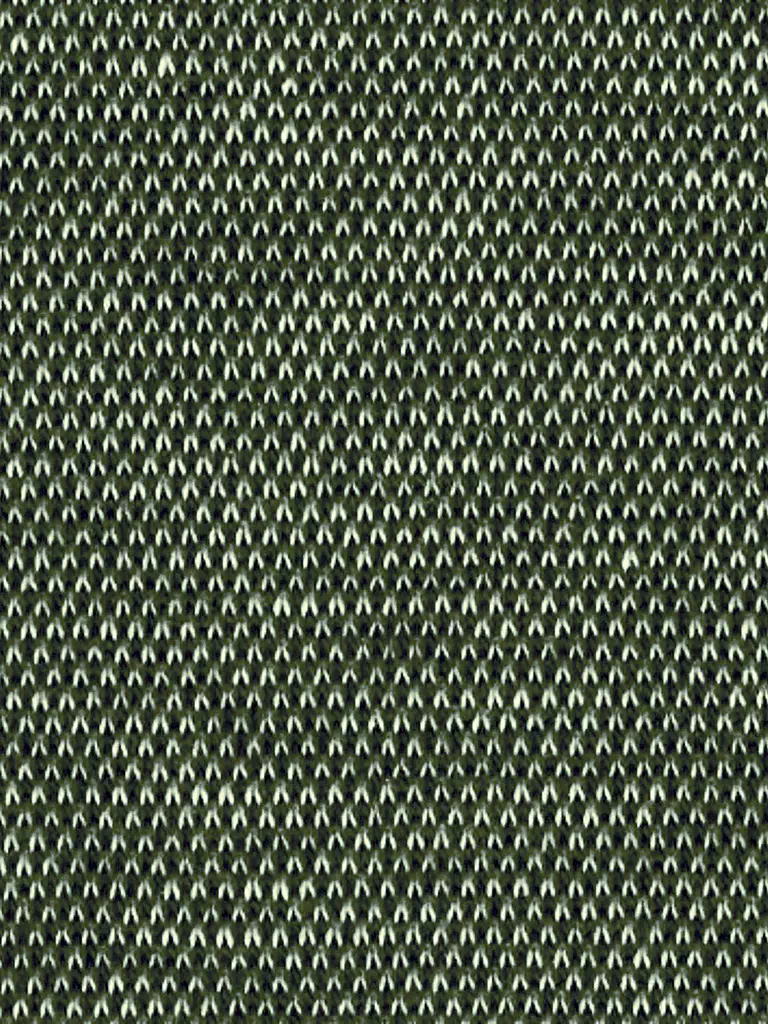 DESOTO | Chemise en jersey coupe slim | olive
