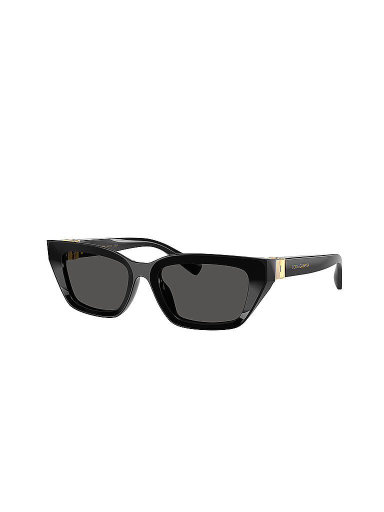 Dolce&Gabbana Lunettes de soleil 0DG4532/53 noir