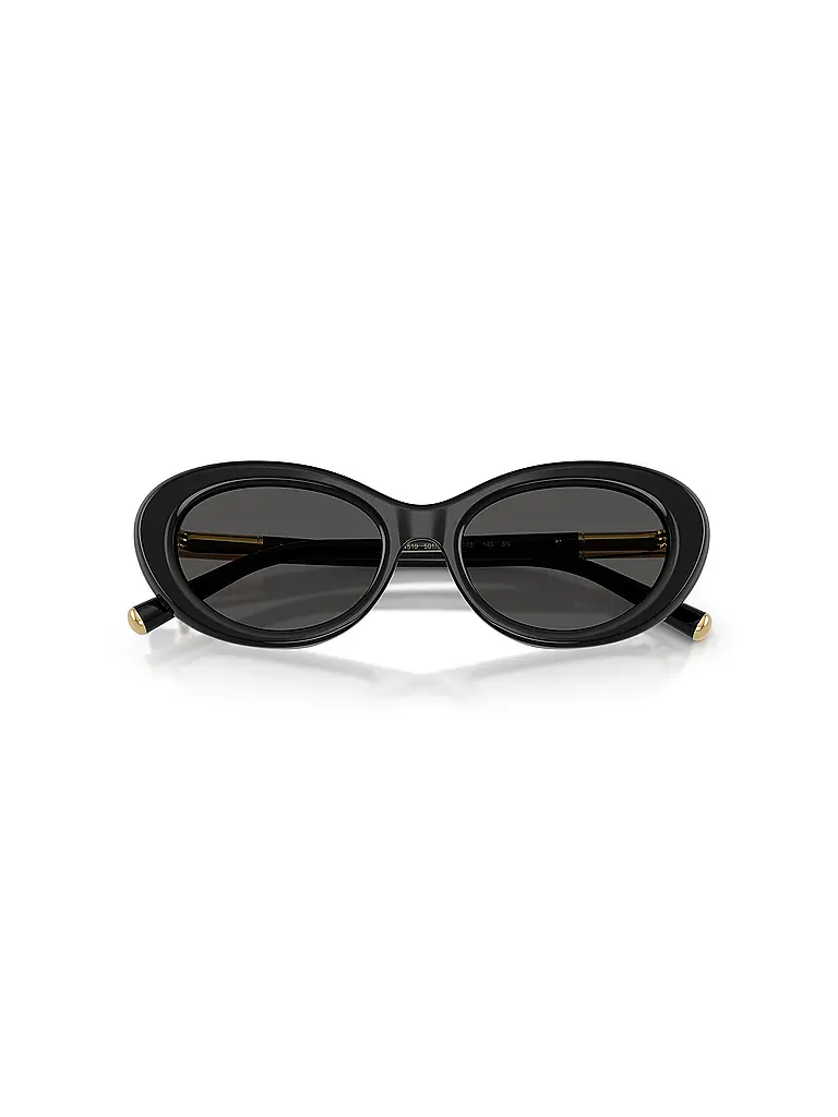 DOLCE&GABBANA | Lunettes de soleil 0DG4519/54 | Noir