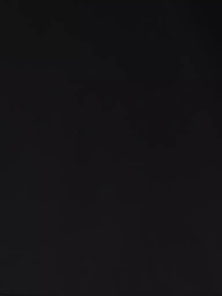 DORIS STREICH | Sweatshirt | Noir