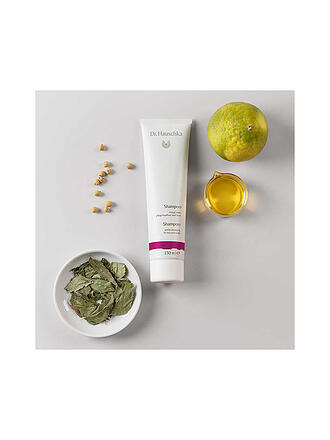 DR. HAUSCHKA | Shampoo 150 ml