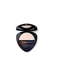 DR. HAUSCHKA | Highlighter (01 Illuminating) | Transparent