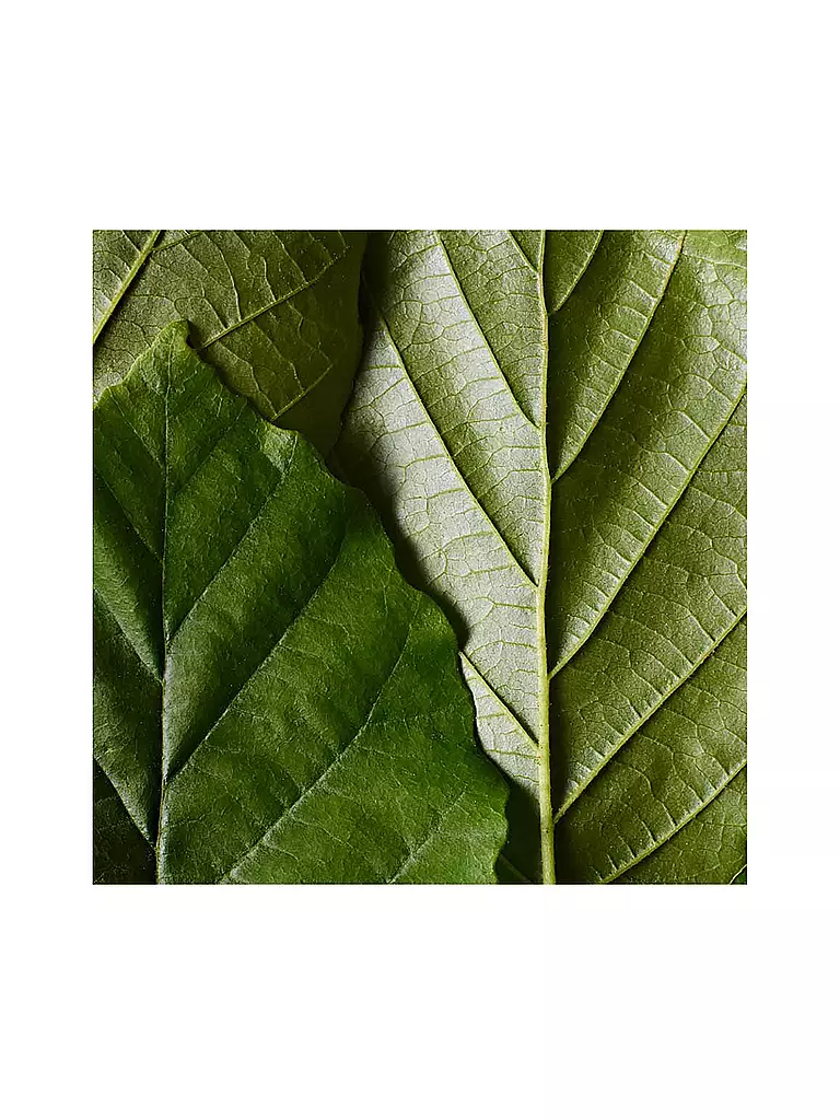 DR. HAUSCHKA | Highlighter - Fluide Illuminateur | 