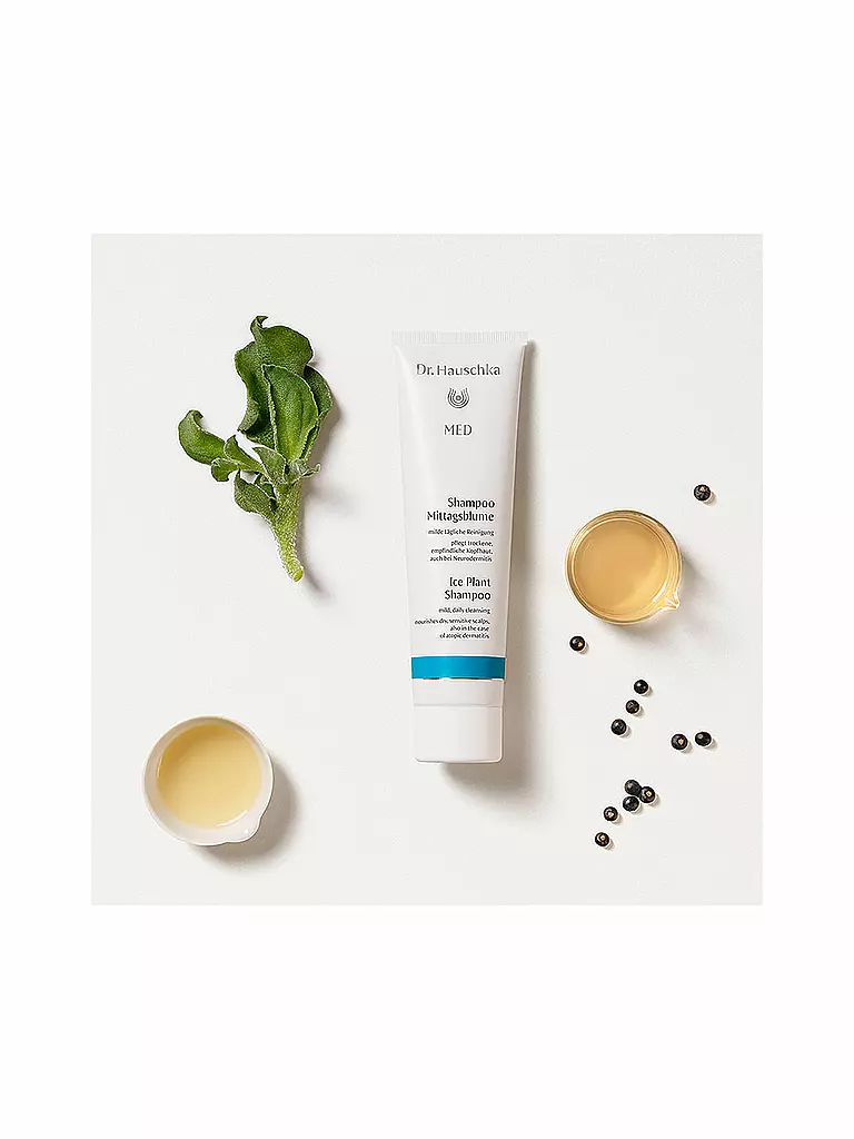 DR. HAUSCHKA | Soin capillaire - Shampooing Ficoïde à Cristaux 150ml | keine Farbe
