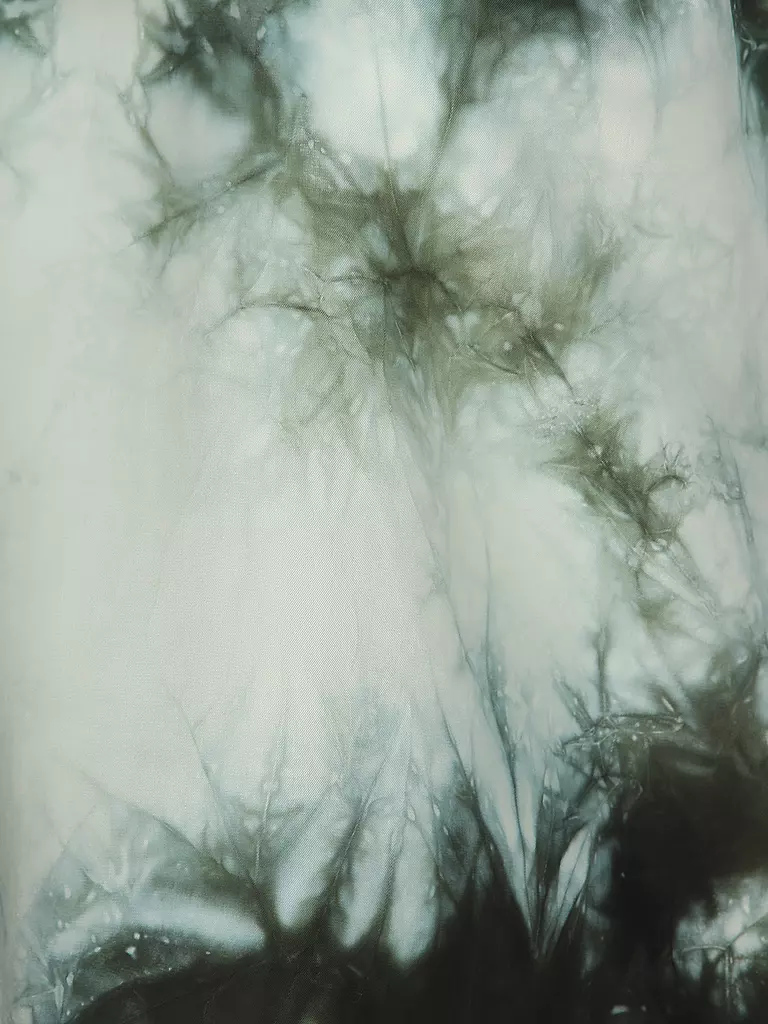 DRYKORN | Blouse ALARIA_1 | Vert