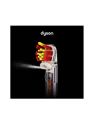 DYSON | Dyson Têtes de brosse à double poils pour dents sensibles 2 pièces Sensitive