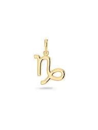 EDBLAD | Pendentif CAPRICORN steel | Or