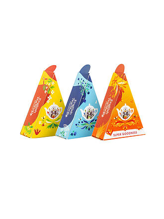 ENGLISH TEA SHOP | Coffret Cadeau Collection de Thés Bien-Être 12 Sachets Pyramidaux