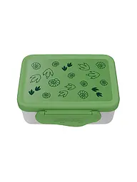 ERGOBAG | Boîte à lunch en acier inoxydable Gewitter | Vert