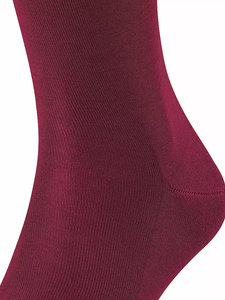 FALKE | Chaussettes hautes TIAGO barolo | 
