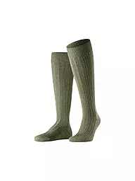 FALKE | Chaussettes montantes TEPPICH IM SCHUH vertes | Vert foncé