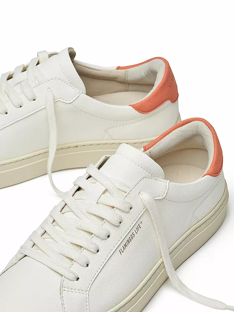 FLAMINGOS LIFE | Sneaker HAMTON COURT | 
