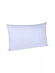 FLEURESSE | Taie d'oreiller en satin "Royal Uni" lot de 2 70x90cm (Beige) | Bleu clair