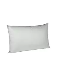 FLEURESSE | Taie d'oreiller en satin Royal Uni 2x 40x60cm Sable | Argent