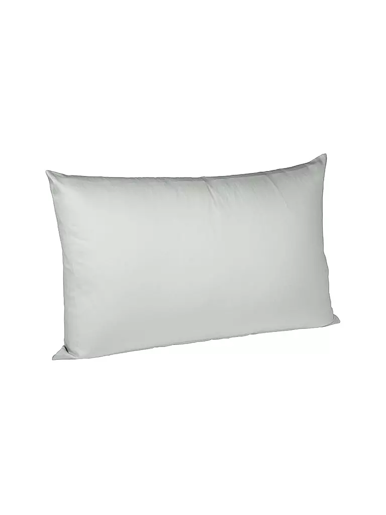 FLEURESSE | Housse de coussin en satin "Royal Uni" lot de 2 40x60cm (Argent) | silber