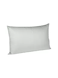 FLEURESSE | Taie d'oreiller en satin Royal Uni lot de 2 40x80cm Argent | Argent