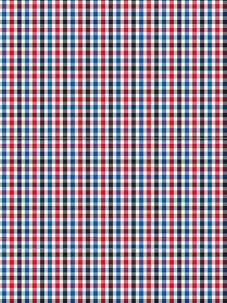 FYNCH-HATTON | Chemise coupe décontractée | rot