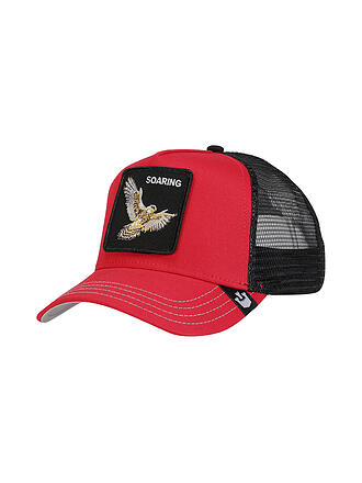 GOORIN BROS. | Casquette FALCON FAN