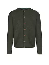 GOTTSEIDANK | Gilet traditionnel en tricot ALOISIUS | Vert