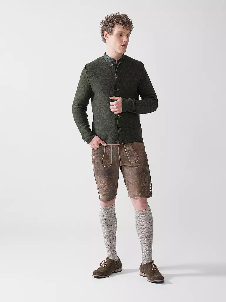 GOTTSEIDANK | Gilet traditionnel en tricot ALOISIUS | grün