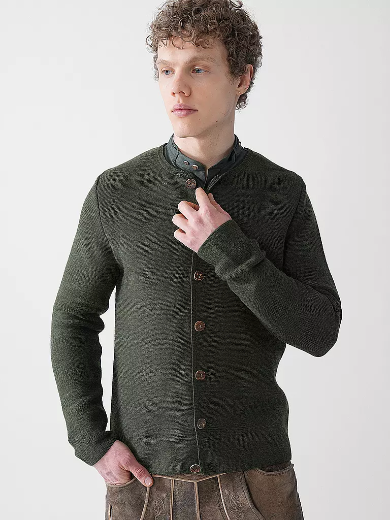 GOTTSEIDANK | Gilet traditionnel en tricot ALOISIUS | grün
