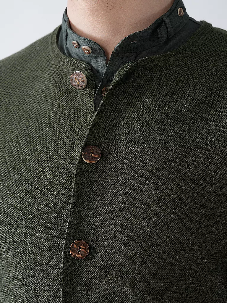 GOTTSEIDANK | Gilet traditionnel en tricot ALOISIUS | grün