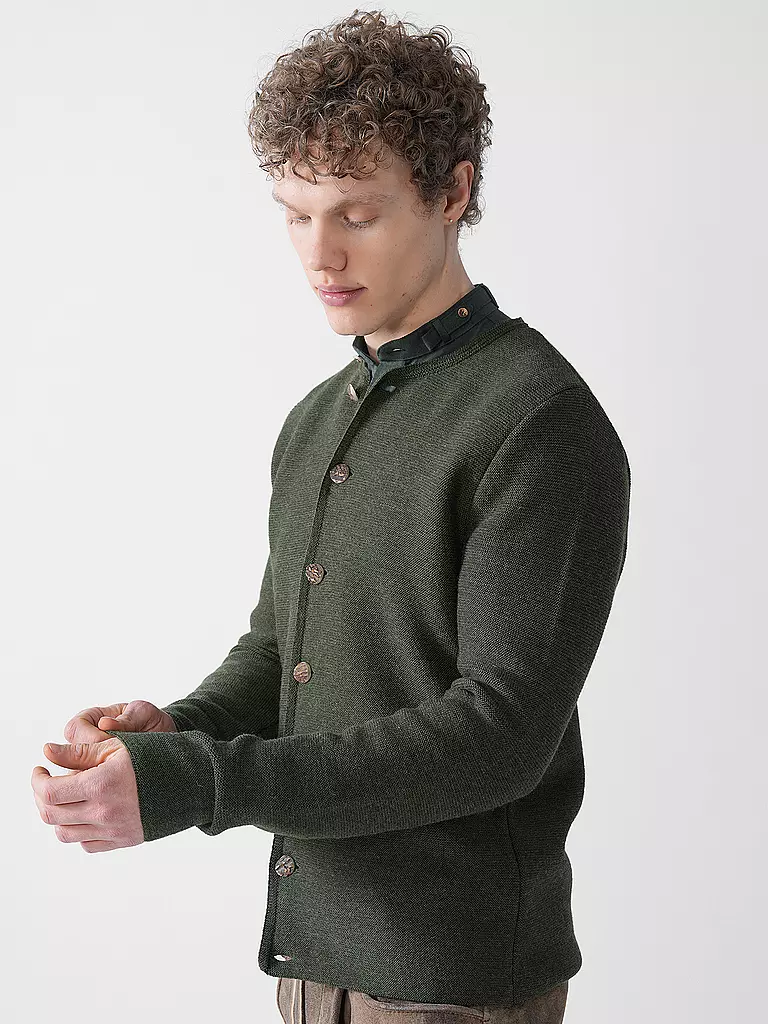 GOTTSEIDANK | Gilet traditionnel en tricot ALOISIUS | grün