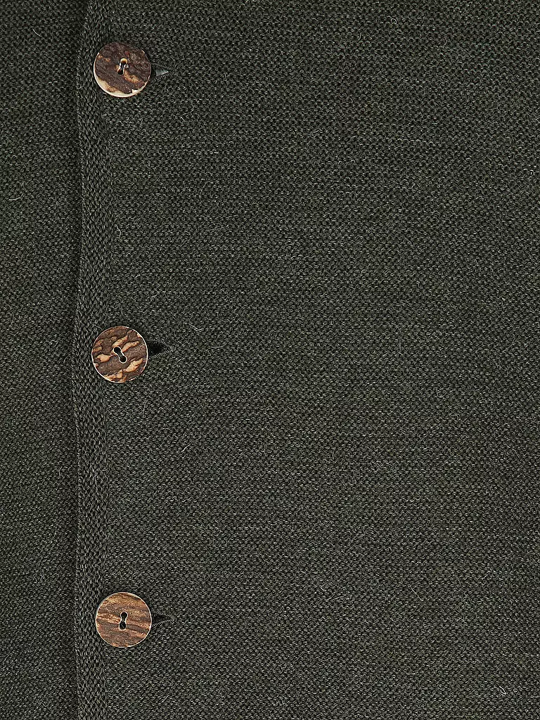 GOTTSEIDANK | Gilet traditionnel en tricot ALOISIUS | grün