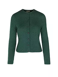 GOTTSEIDANK | Trachten Strickjacke VEVI  | Vert