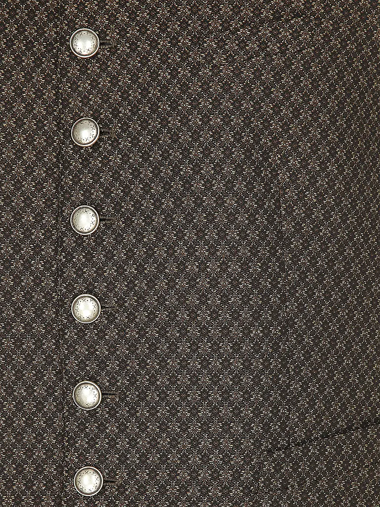 GRASEGGER | Gilet traditionnel VOITL5 | braun
