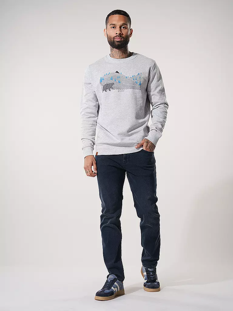 GREENBOMB | Sweat WILD ANIMAL BEARLAND | grau