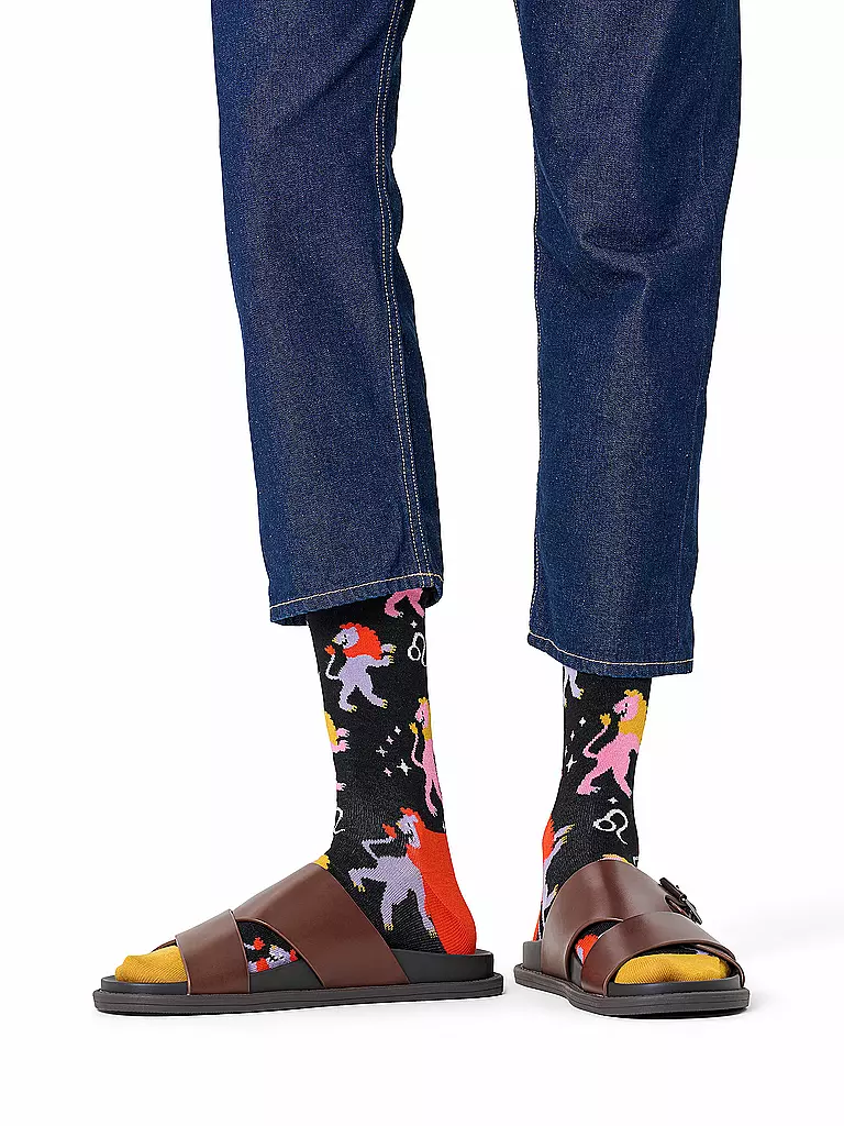 HAPPY SOCKS | Chaussettes Femme LÖWE 36-40 noir | Noir