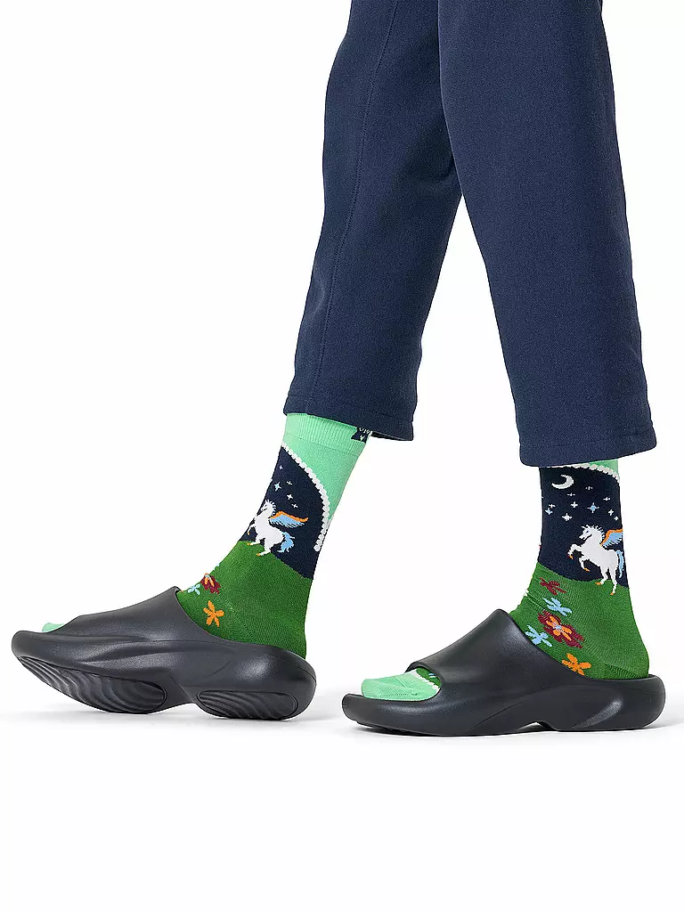 HAPPY SOCKS | Chaussettes Femme PEGASUS LAND 36-40 vert clair | grün