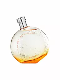 HERMÈS | Eau des Merveilles Eau de Toilette 100ml | Aucune couleur