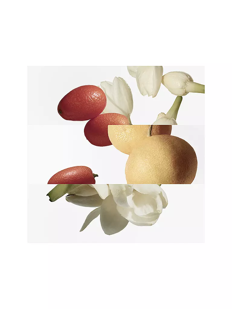 HERMÈS | Le Jardin de Monsieur Li Eau de Toilette 100ml | 